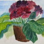 Gloxinia (Water color)