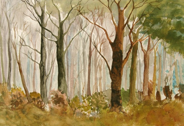 Woods (Water Color)